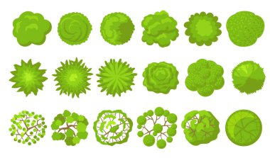 Yeşil ağaçlar hazır. Havadan, plandan ya da park bitkilerinin, çalıların, ormanların ya da bahçelerin en üst görüntüsünden. Bahçe, manzara, harita konsepti için vektör çizimleri