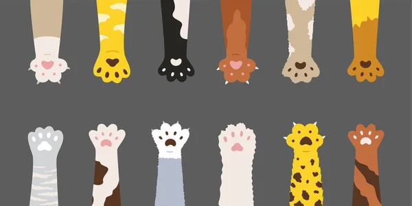 Fluffy multicolored cats paws set. Cute feline clutches isolated on grey background. Vector illustration for domestic animal, pet, kittens, concept