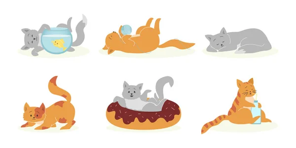 Playful gray and orange cats set. Funny pets, cute fluffy kittens playing, sleeping, eating. Vector illustration for domestic animals, feline pet concept