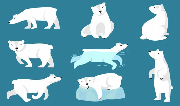 Urso Polar Preparado Urso Ártico Branco Bonito Andando Correndo Nadando — Vetor de Stock