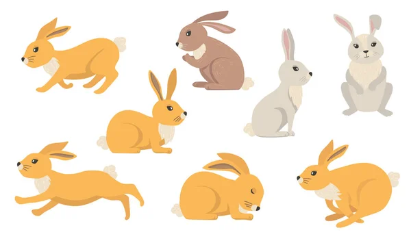 Conejos animados imágenes de stock de arte vectorial | Depositphotos
