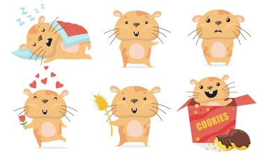Adorable hamster set. Cute funny cartoon hamster sleeping, waving hello, giving flower in love, eating cookies in box. Vector illustration for animal, pets, rodent concept