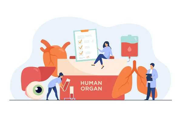 Orgaandonatie Concept Container Met Menselijke Orgaantekst Menselijke Longen Oogbal Lever — Stockvector