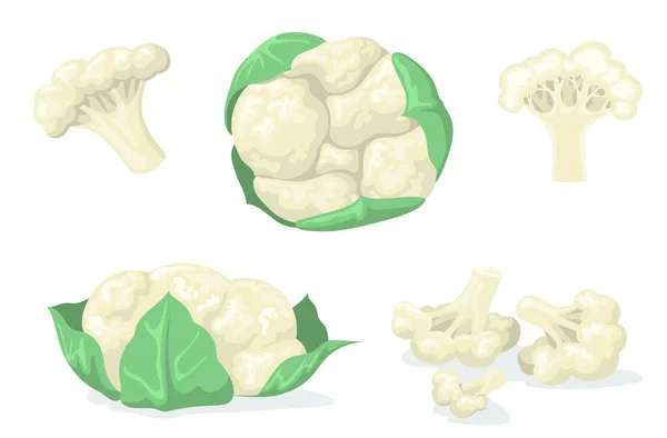 Colorful cauliflower flat set for web design. Cartoon cabbage in leaves and divided into pieces isolated vector illustration collection. Organic food and vegetables concept
