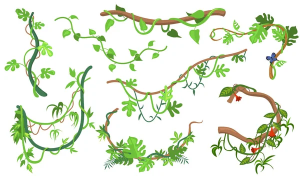 ウェブデザインのためのカラフルなリアナやジャングル植物フラットセット 熱帯のブドウや木の分離ベクトルイラストコレクションの漫画クライミング小枝 熱帯雨林 緑と植生の概念 — ストックベクタ