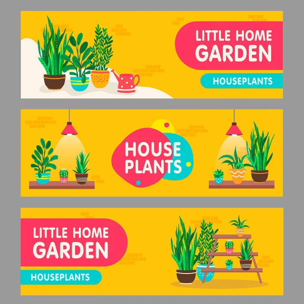 Ev bitkisi afişleri asıldı. Raflarda saksıları olan ev bitkileri, metinli vektör çizimleri. Çiçekçi broşürleri ve broşürleri için ev ve bahçe konsepti