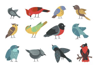 Various colorful small birds set. Cute cartoon little sparrow, swallow, bullfinch, thrush, tit isolated on white. Vector illustration for wildlife, nature, animal concept