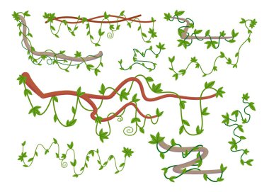 Cartoon set of wild curling liana twig vector illustration. Tropical rainforest plant, climbing greenery or foliage, vine creeper. Botany, nature, flora, jungle plant concept for apps or banner design