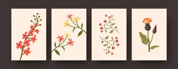 現代美術のポスターの美しい春の花コレクション パステルカラーの装飾花のセット バナー ポストカード招待状のデザインや背景のための花や花のコンセプト — ストックベクタ