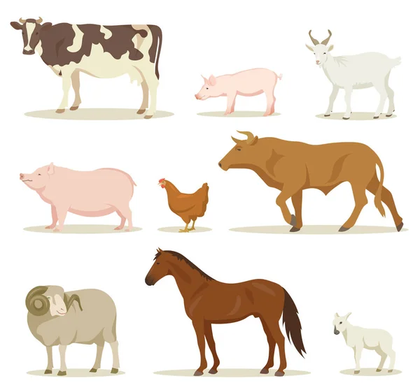 Desenhos Animados Animais Domésticos Conjunto Ilustrações Vetoriais Coleção Animais Fazenda —  Vetores de Stock