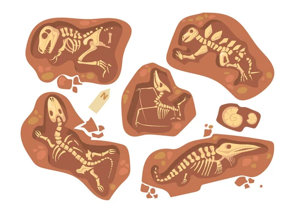 Мультипликационный Набор Окаменелостей Динозавров Плоский Векторный Рисунок Коллекция Скелетов Костей — стоковый вектор