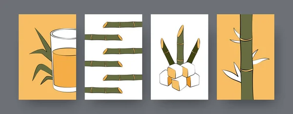 サトウキビ植物と現代的なポスターのコレクション サトウキビキューブ ジュース漫画のベクトルイラストのガラス デザイン ソーシャルメディア ポストカードのための自然コンセプト — ストックベクタ