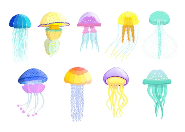 Conjunto Plano Medusas Diferentes Criativas Para Web Design Desenhos Animados — Vetor de Stock