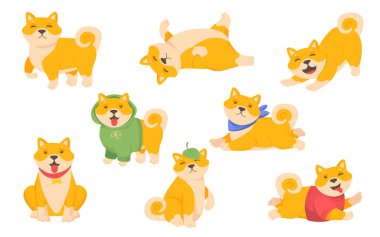 Komik köpek yavrusu seti. Farklı kıyafetlerle oturan, ayakta duran, beyaz üzerinde izole edilmiş, evcil hayvan, evcil hayvan, hayvan, arkadaş kavramı için Vektör illüstrasyonunda oynayan mutlu sevimli Japon köpeği.
