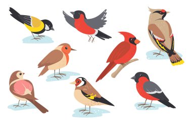 Snowy time winter birds flying or holding branch. Colorful bullfinch, sparrow, tit, thrush set isolated on white. Vector illustration for nature, wildlife, snow season concept