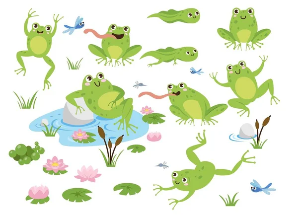 かわいいカエル漫画のキャラクターベクトルイラストセット 緑の頭をジャンプの図面は ハスの池に座って トンボの白い背景に孤立を引く 野生生物の概念 — ストックベクタ
