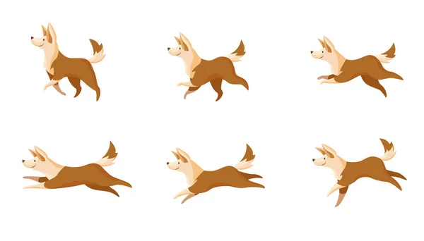 Rychlý Nebo Pomalý Pohyb Psů Nastaven Boční Pohled Animovaný Pet — Stockový vektor