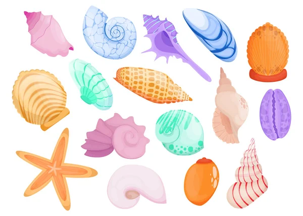 彩色手绘贝壳扁平项目集 用于网页设计 卡通彩海和海洋贝壳孤立的病媒插图收集 装饰要素和水下概念 — 图库矢量图片