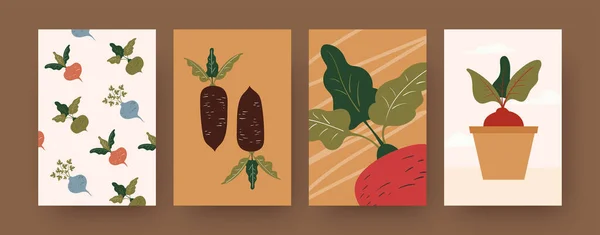 根菜付きの現代アートポスターのセット 鉢植えのビートルート漫画のベクトルイラスト デザイン ソーシャルメディア ポストカード 招待カードのための有機食品の概念 — ストックベクタ