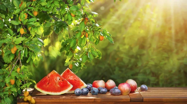Många olika frukter på ett träbord i en fruktträdgård. Royaltyfria Stockbilder