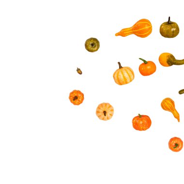 Beyaz arkaplanda farklı açılardan birçok farklı küçük balkabağı