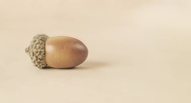 Modaya uygun kahverengi meşe palamudu ile minimalist resim deseni - sonbahar motifli bej rengi