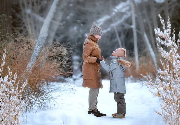 Портрет семьи и зимой для прогулки — стоковое фото