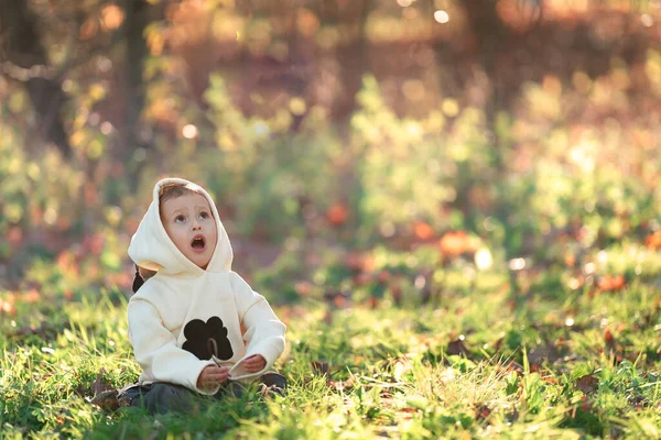 El niño está muy sorprendido mira hacia arriba y se sienta en la hierba —  Fotos de Stock