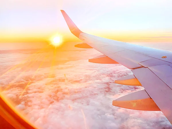 Flygplan vinge på himlen vid vacker solnedgång, flygplan flygning på himlen med kopia utrymme Royaltyfria Stockbilder