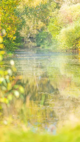 Resumen Bosque natural borroso con estanque — Foto de Stock