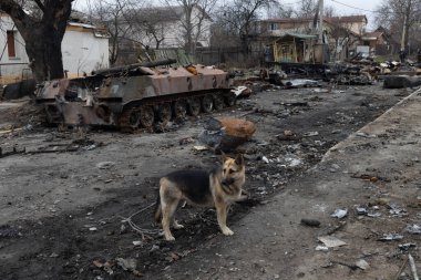 04-05-2022 Rus savaş tankları ve mühimmatı bucha caddelerine boşaltıldı. Çatışmanın yaşandığı yerde Rus tankları Ukrayna ordusu tarafından pusuya düşürüldü..