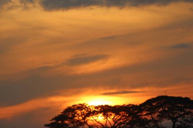 pagi hari yang cerah 