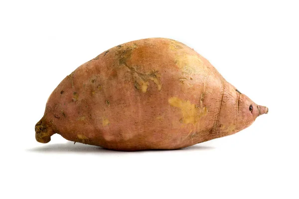 Zoete Aardappel Een Soort Gecultiveerde Plant Het Deel Dat Wordt — Stockfoto