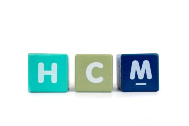 İnsan Sermaye Yönetimi HCM, insan kaynakları yönetimi kavramından yola çıkarak geliştirilen bir insan kaynakları yönetimidir.