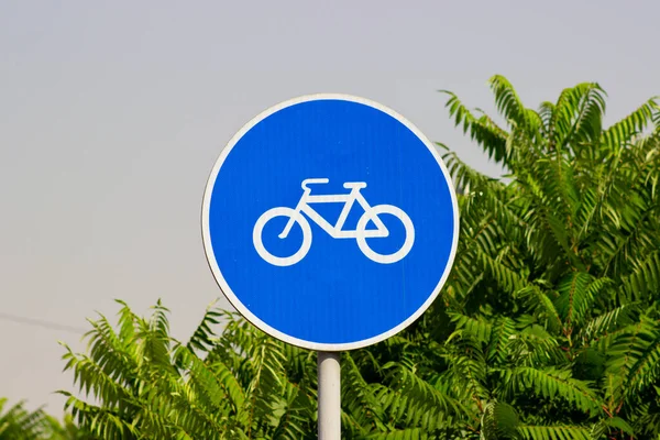 Bicycle sign with green trees background