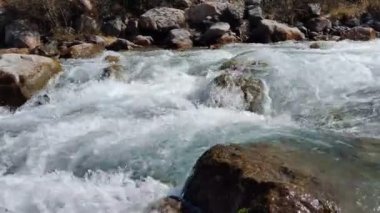 Temiz suyu olan Alp nehri pürüzsüz taşların üzerinden akıyor 4k video