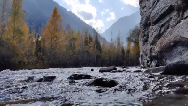 Alpenfluss Mit Klarem Transparentem Wasser Fließt Vor Dem Hintergrund Herbstlicher — Stockvideo