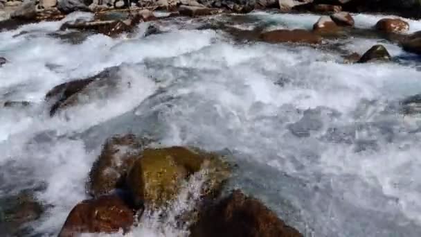 Alpejska Rzeka Czystą Wodą Przepływa Przez Gładkie Kamienie Wideo — Wideo stockowe