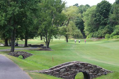 Yeşil tişörtlü, beyaz toplu Golf Turnuvası adamı vuruşu yapıyor..