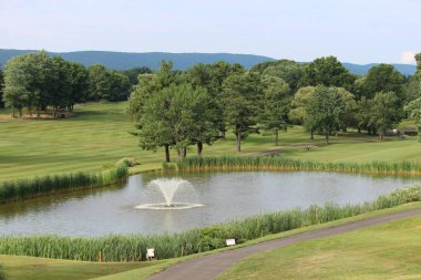 Amerika Birleşik Devletleri 'ndeki yeşil parktaki golf sahasında..