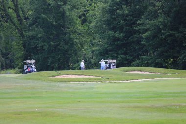 Arkasında bir sürü ağaç olan yeşil çimenler.