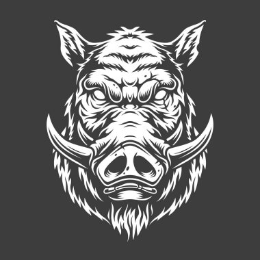 Boar head in black and white color style. Vector illustration clipart