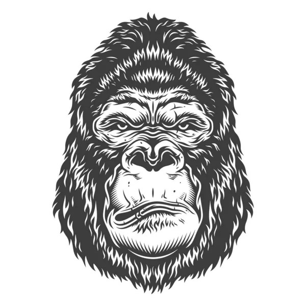 Illustration Vectorielle Tête Gorille Féroce Sur Fond Blanc — Image vectorielle