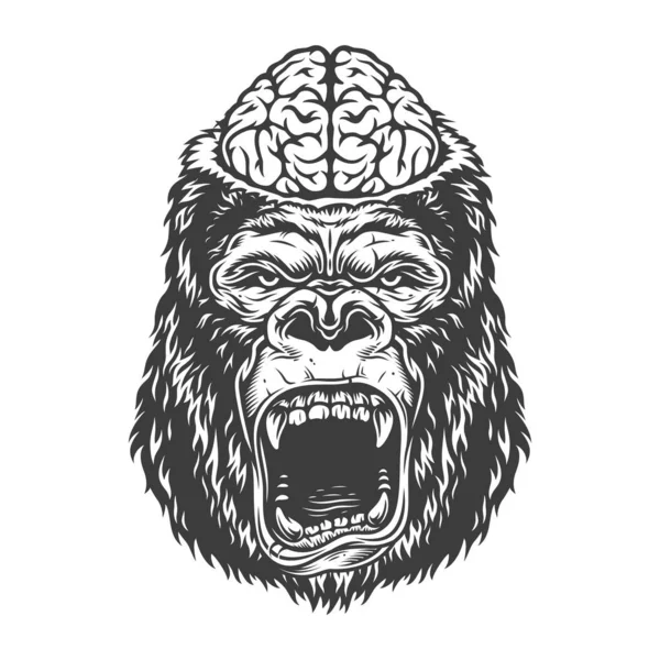 脳とモノクロ スタイルで怒っているゴリラ ベクトル ビンテージ イラスト — ストックベクタ