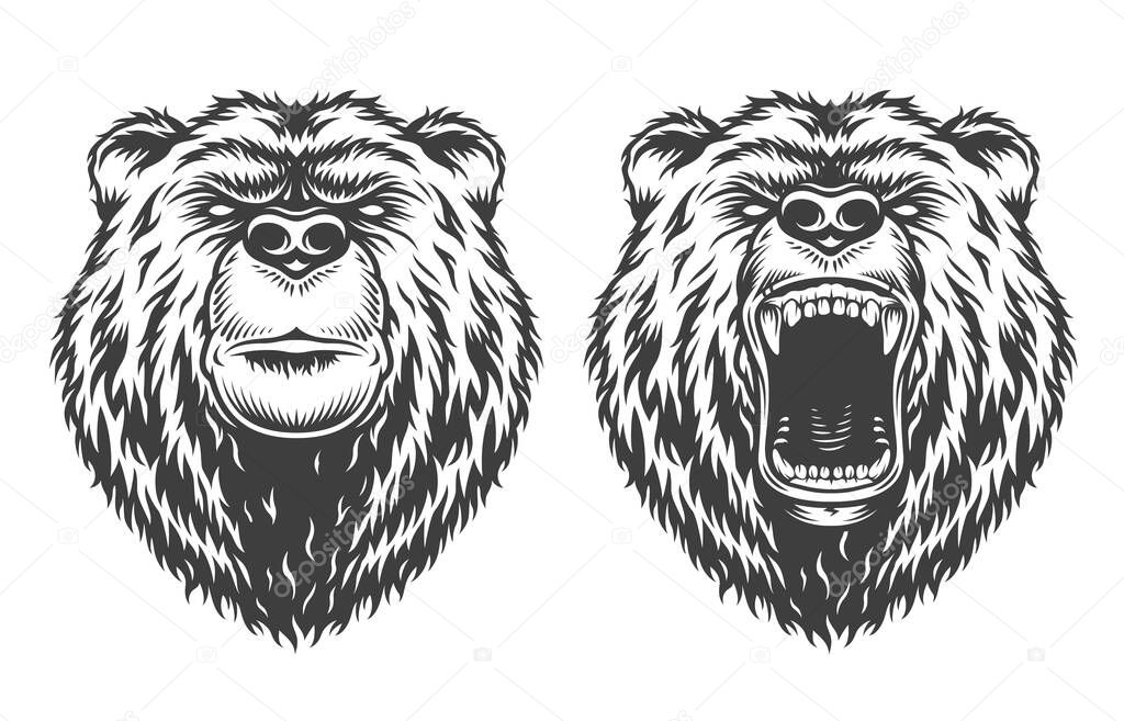 Vintage logo style angry and serious bears. Vector illustration