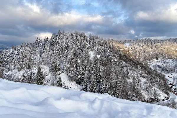 Mont Vosgiens, Vosges, neige. Snowy mountain Vosges France