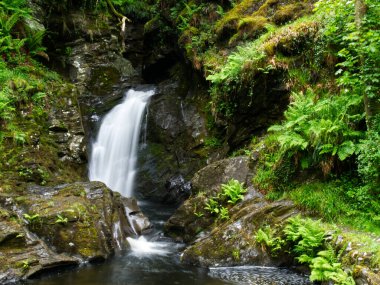 the beautiful waterfall with green grass in the forest