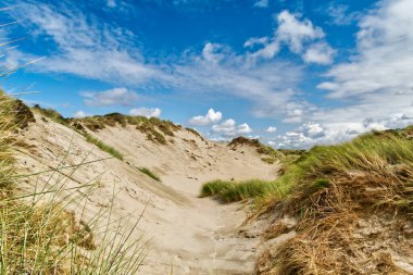 Deniz kıyısının güzel manzarası