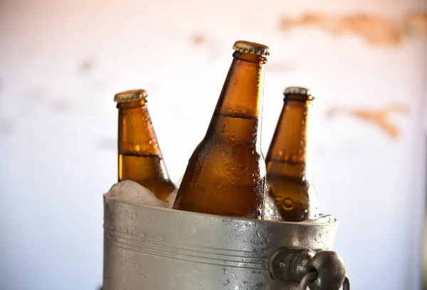 Beer Bottles Chilled Cooler Tank — Zdjęcie stockowe