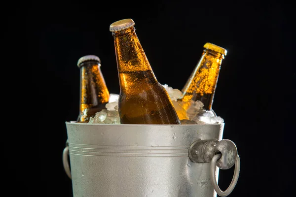 Beer Bottles Chilled Ice Cooler Black Background — Stock Photo, Image